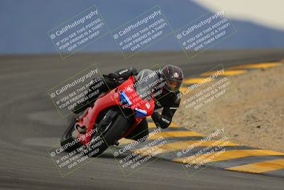 media/Jan-14-2023-SoCal Trackdays (Sat) [[497694156f]]/Turn 12 (120pm)/